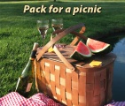 picnic