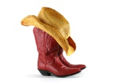 wild wild west 2