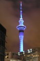Sky_Tower_at_night